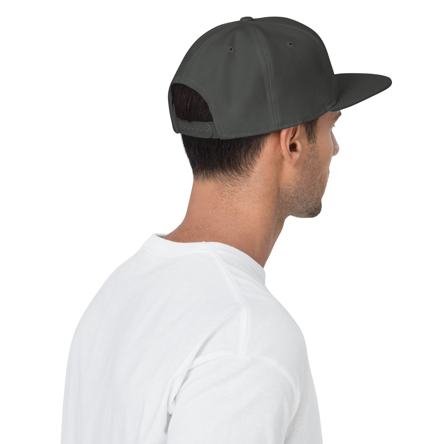 Lo-Fi Islands Grey Snapback Hat