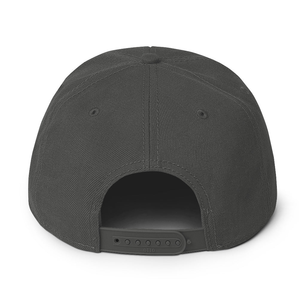 Lo-Fi Islands Grey Snapback Hat