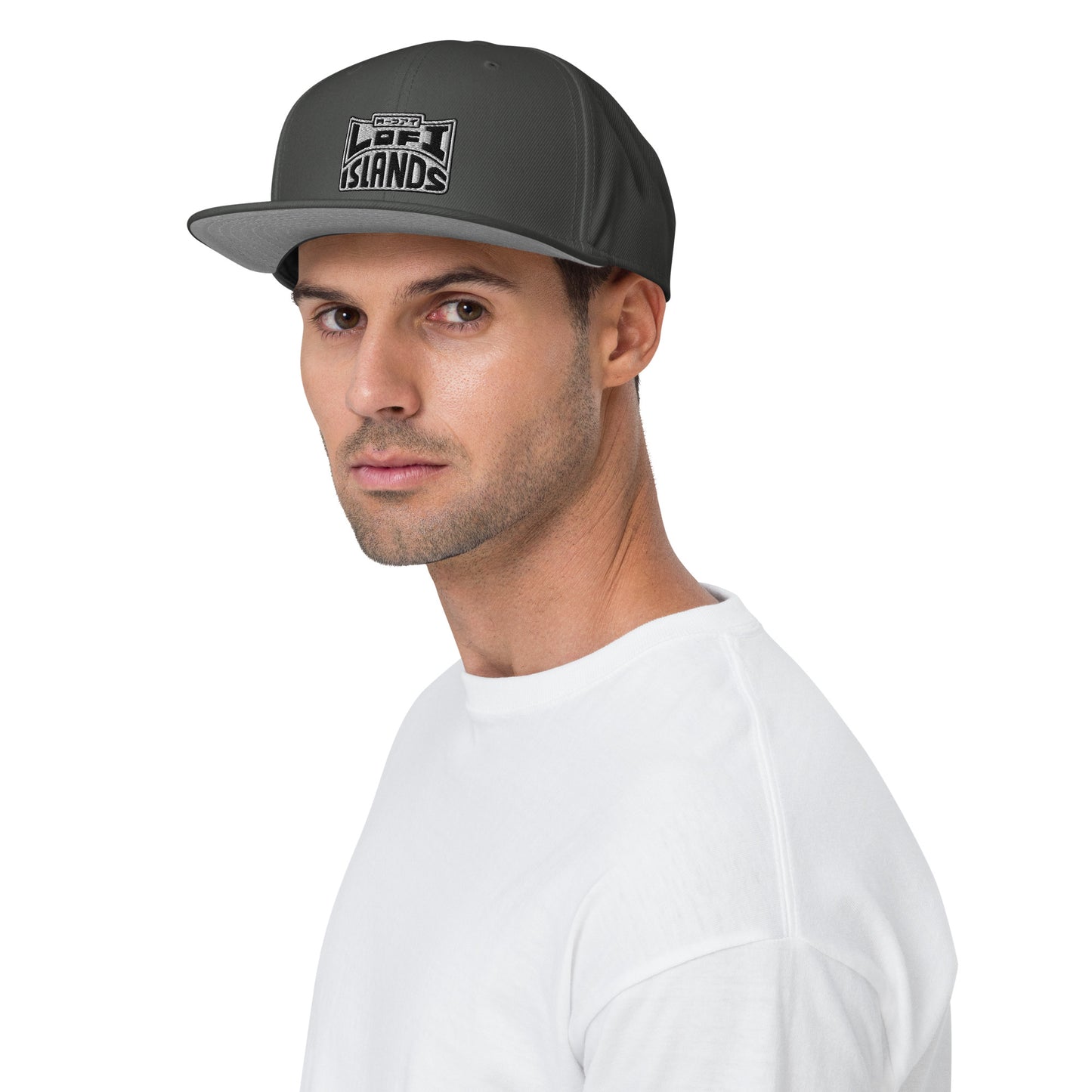 Lo-Fi Islands Grey Snapback Hat